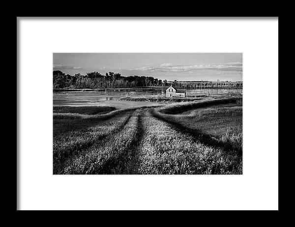 Abandoned Nd Rural Farmstead Homestead Trail Water Devils Lake Flood Landscape Scenic Horizontal B&w Black And White Stensby Brinsmade Normania Silver Lake Framed Print featuring the photograph The Path Home #1 by Peter Herman
