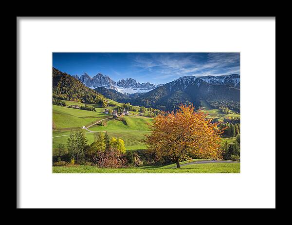 Alp Framed Print featuring the photograph The red tree #2 by Stefano Termanini