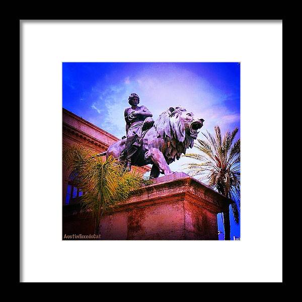 Beautiful Framed Print featuring the photograph Throwback Thursday - #palermo Opera #1 by Austin Tuxedo Cat