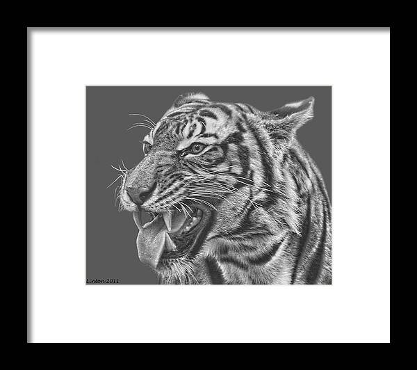 Malayan Tiger Framed Print featuring the digital art Tiger Teeth #1 by Larry Linton