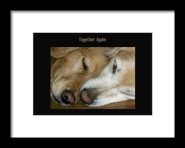 Photograph Framed Print featuring the photograph Together Again #1 by Rhonda McDougall
