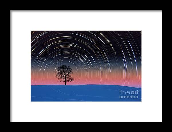 Composite Framed Print featuring the photograph Tree With Star Trails #1 by Larry Landolfi