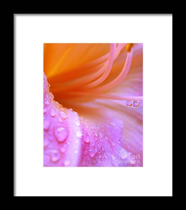 Daylily Framed Print featuring the photograph Tropical Thirst #1 by Krissy Katsimbras