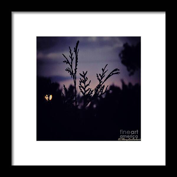 Photograph Copyright Mary Lee Parker 17 Framed Print featuring the photograph Twilight #1 by MaryLee Parker