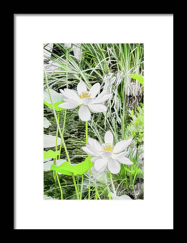 Aesthetic Framed Print featuring the painting Two water-lilies #1 by Jeelan Clark