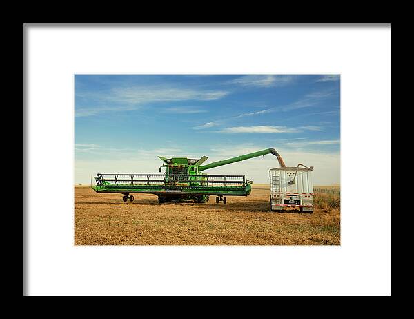 Chickpeas Framed Print featuring the photograph Unloading Chickpeas #1 by Todd Klassy
