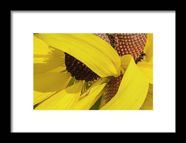  Framed Print featuring the photograph Untitled #2 by Paul Vitko