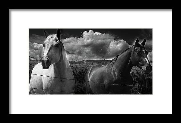 Rural Framed Print featuring the photograph Us #1 by J C