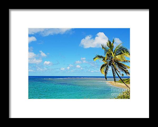 Afternoon Framed Print featuring the photograph View Of Fiji #1 by Himani - Printscapes
