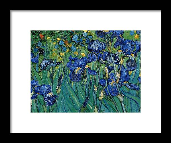 Vincent Van Gogh Iris Detail Framed Print featuring the painting Vincent Van Gogh Iris detail #1 by MotionAge Designs