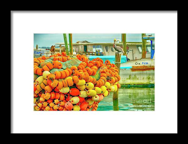 Fish Market Framed Print featuring the photograph Waiting #1 by Alison Belsan Horton