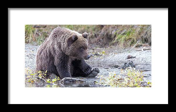 2015 Framed Print featuring the photograph Waiting #1 by Kevin Dietrich