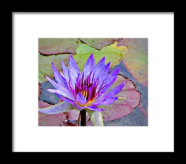 Water Lily Framed Print featuring the photograph Water Lily #1 by Winnie Chrzanowski