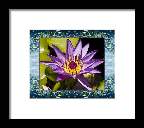 Nature Photos Framed Print featuring the photograph Water Star #1 by Bell And Todd