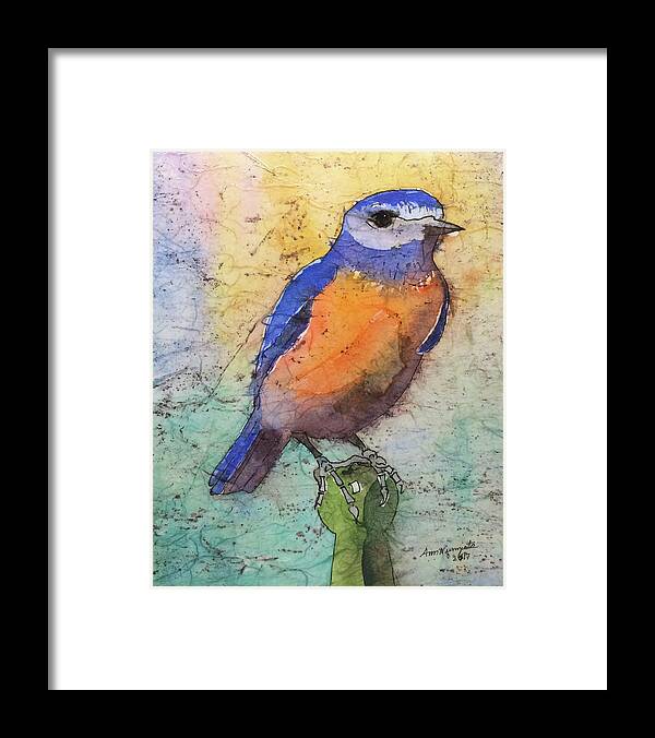Western Bluebird;bird;bluebird; Blue;orange;green Framed Print featuring the painting Western Bluebird by Ann Nunziata