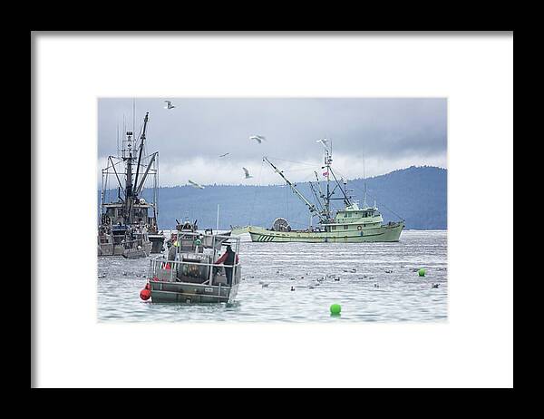 Western King Framed Print featuring the photograph Western King #1 by Randy Hall