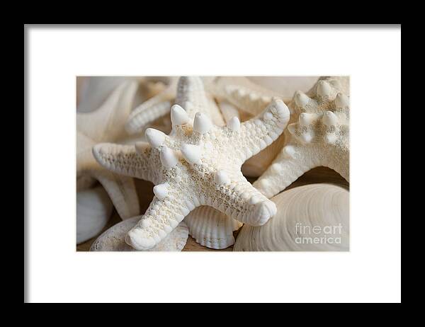 Starfish Framed Print featuring the photograph White starfish #1 by Andrea Anderegg