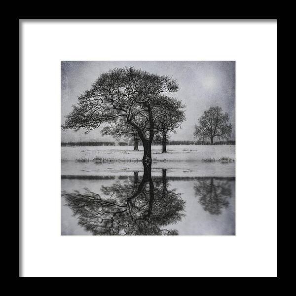 Lake Framed Print featuring the photograph Winter Lake #1 by Ian Mitchell