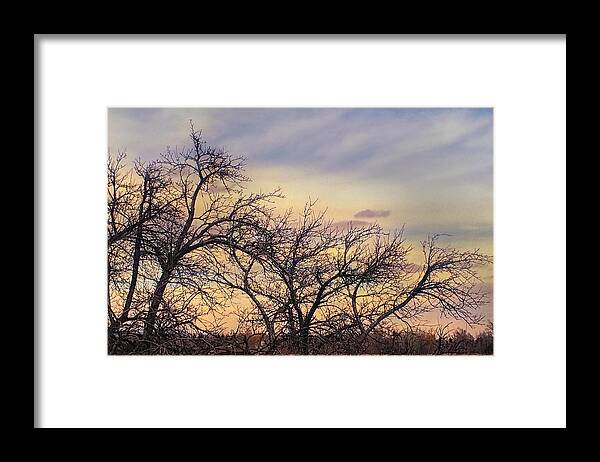 Winter Framed Print featuring the photograph Winter Trees #1 by Juli Ellen