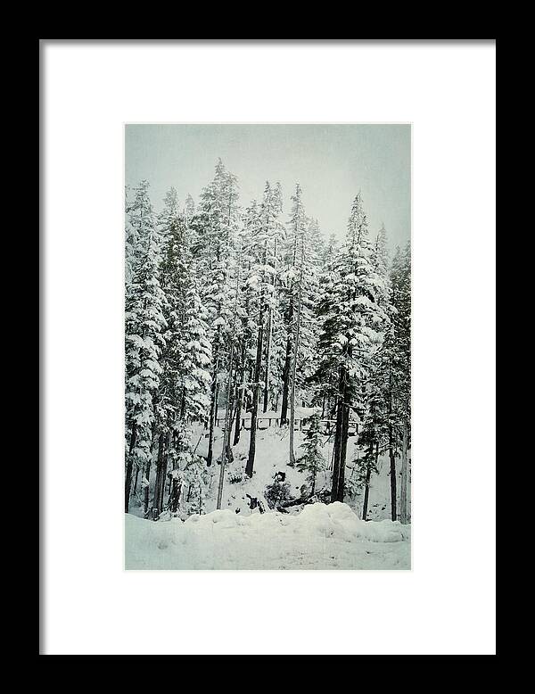 Winter Framed Print featuring the photograph Through the Woods by Marilyn Wilson