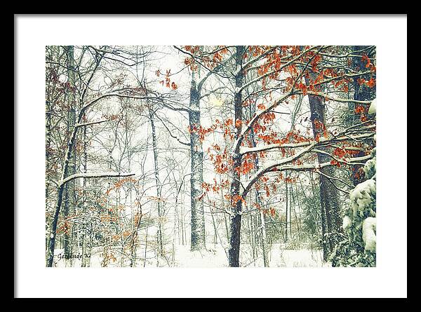 Enjoy The Winter Season! Framed Print featuring the photograph Winter Wonderland by Gerlinde Keating - Galleria GK Keating Associates Inc