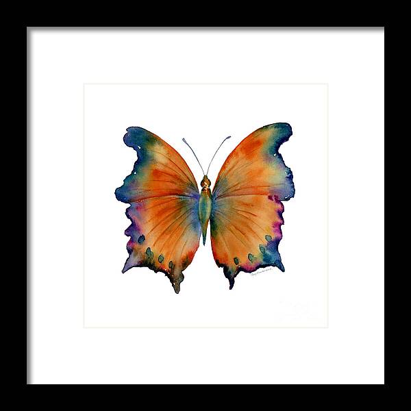 Wizard Butterfly Butterfly Butterflies Butterfly Print Butterfly Card Butterfly Cards Orange Orange And Blue Orange And Purple Orange Butterfly Nature Wings Winged Insect Nature Watercolor Butterflies Watercolor Butterfly Watercolor Moth Orange Butterfly Face Mask Framed Print featuring the painting 1 Wizard Butterfly by Amy Kirkpatrick