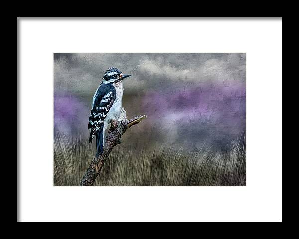 Bird Framed Print featuring the photograph Woody by Cathy Kovarik