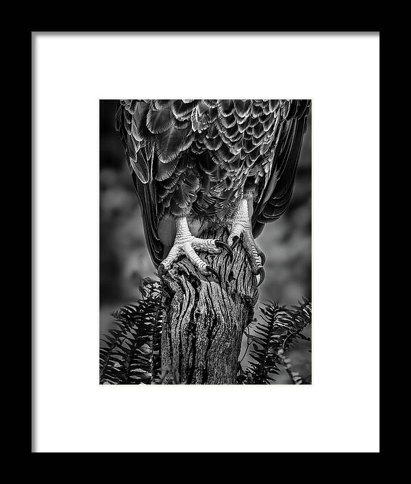 Tree Framed Print featuring the photograph Working Feet #1 by Steve Zimic