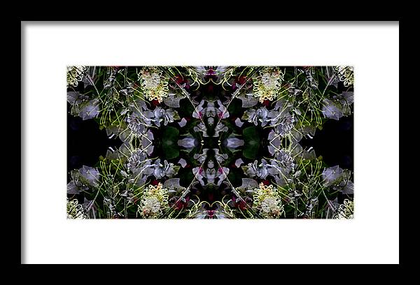 Lavender Framed Print featuring the photograph Worm Hole Mandala #1 by Daniel Unfried