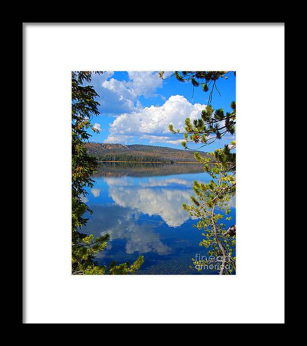 Berry Framed Print featuring the photograph Yellowstone Lake #1 by Diane E Berry