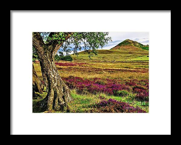 Yorkshire Framed Print featuring the photograph Yorkshire Moorland Heather #1 by Martyn Arnold