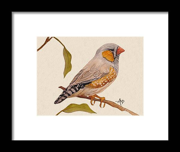Zebra Finch Framed Print featuring the painting Zebra Finch by Angeles M Pomata