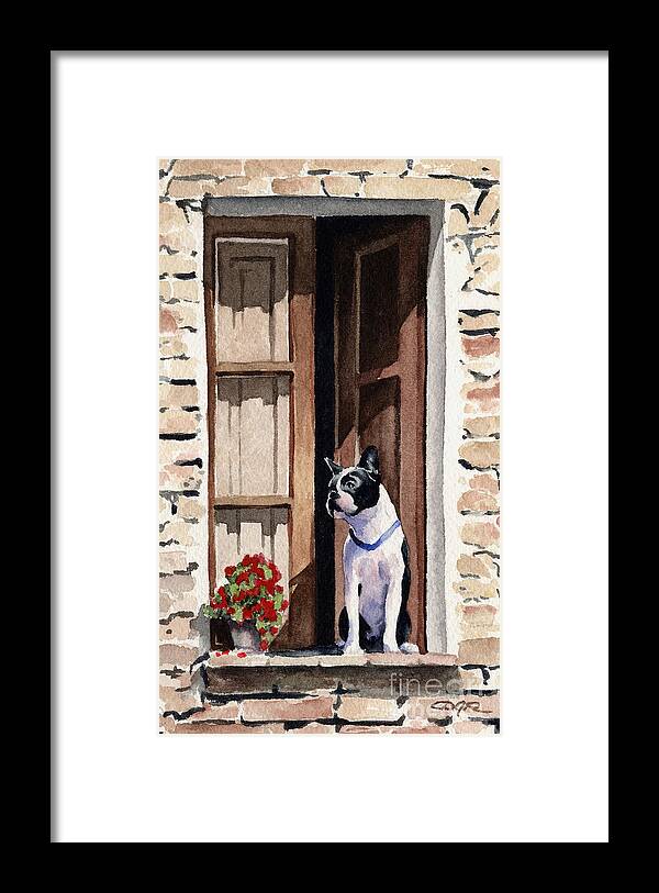 Boston Framed Print featuring the painting Boston Terrier #10 by David Rogers