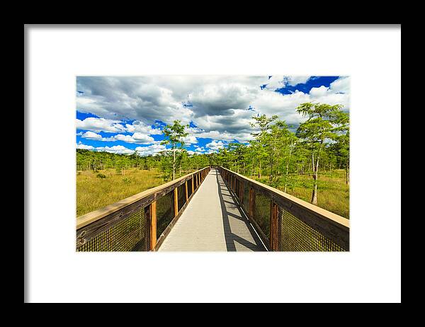 Everglades Framed Print featuring the photograph Florida Everglades #10 by Raul Rodriguez