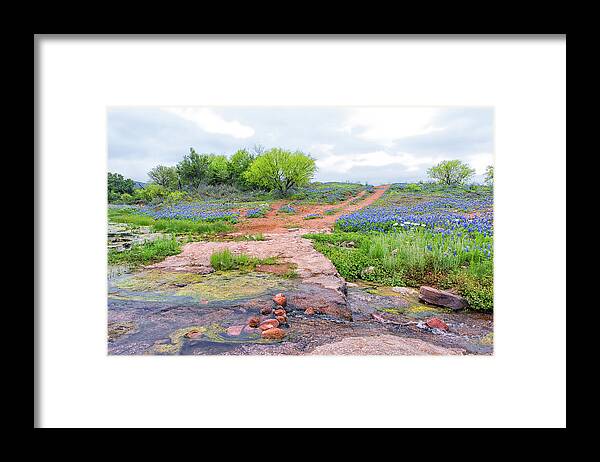 Texas Wildflowers Framed Print featuring the photograph Texas Bluebonnets 9 by Victor Culpepper