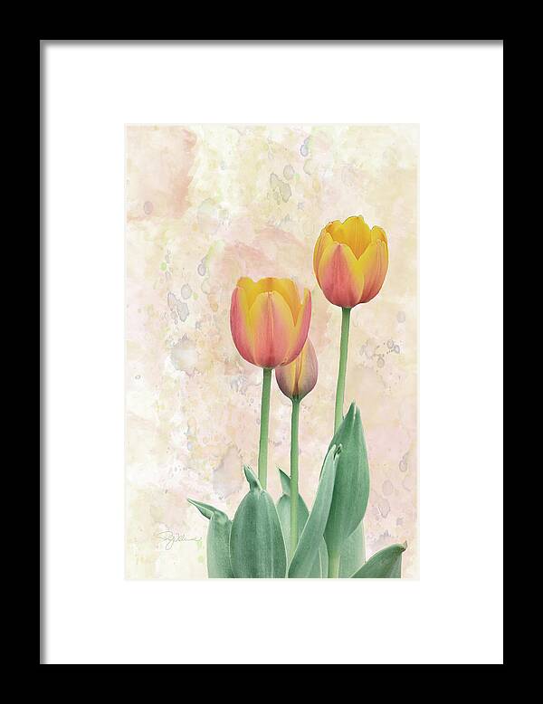 Tulip Framed Print featuring the photograph 10915 Tip Toe Thru the Tulips by Pamela Williams