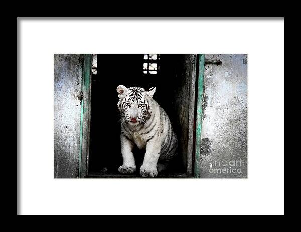 China Framed Print featuring the photograph Discovering China #12 by Marisol VB