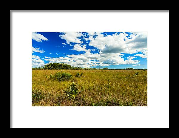 Everglades Framed Print featuring the photograph Florida Everglades #12 by Raul Rodriguez