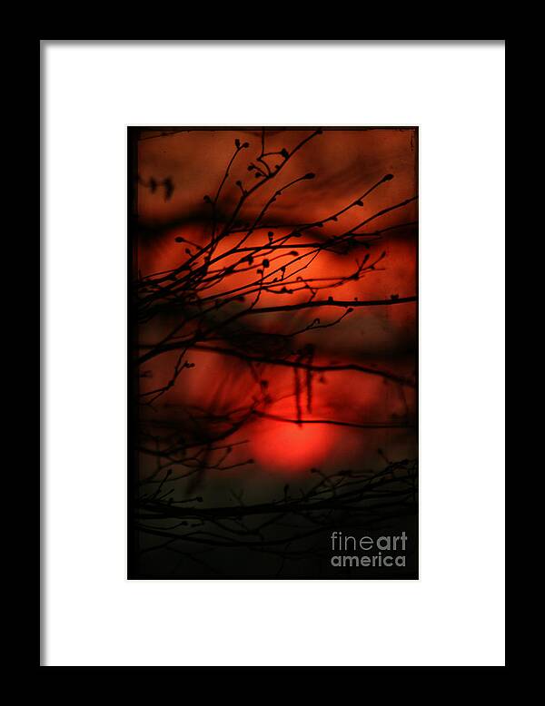 Sunset Framed Print featuring the photograph The Sunset #12 by Ang El