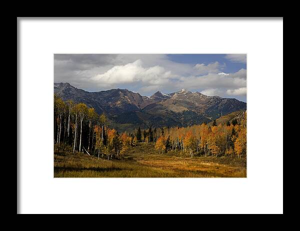 Autumn Framed Print featuring the photograph Fall #13 by Mark Smith