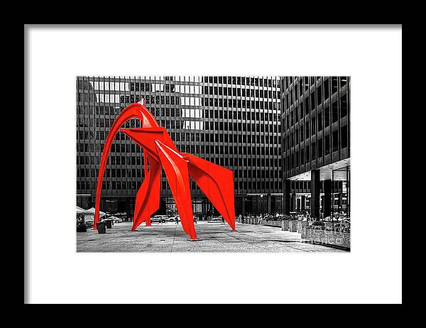 Alexander Framed Print featuring the photograph 1371 The Flamingo by Steve Sturgill
