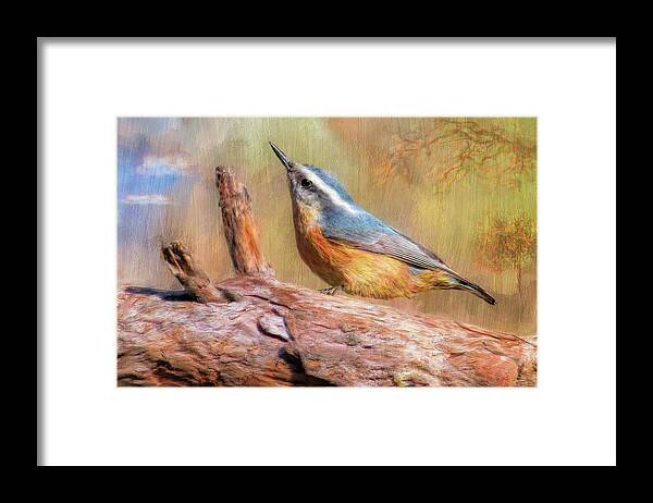  Framed Print featuring the digital art Red Breasted Nuthatch by Bill Johnson