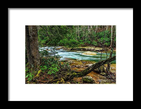 Elk River Framed Print featuring the photograph Back Fork of Elk River #15 by Thomas R Fletcher
