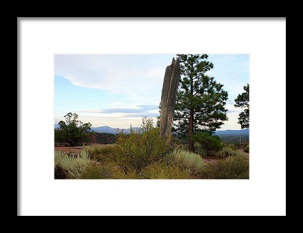 River Framed Print featuring the photograph Flaming Gorge National Park #15 by Ellen Tully