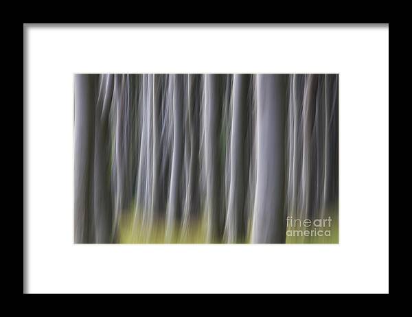 Abstract Framed Print featuring the photograph 150403p263 by Arterra Picture Library