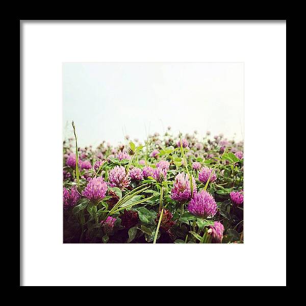  Framed Print featuring the photograph Instagram Photo #151432052212 by Kenya Toga