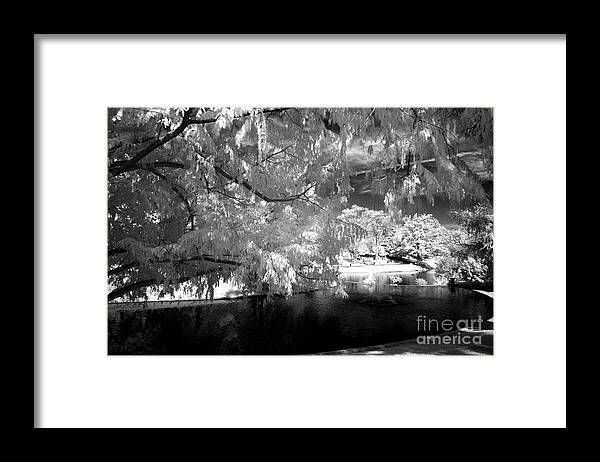 2750 Framed Print featuring the photograph Infrared #156 by FineArtRoyal Joshua Mimbs