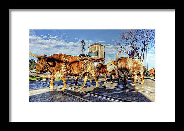 Fort Worth Texas Usa Framed Print featuring the photograph Fort Worth Texas USA #16 by Paul James Bannerman