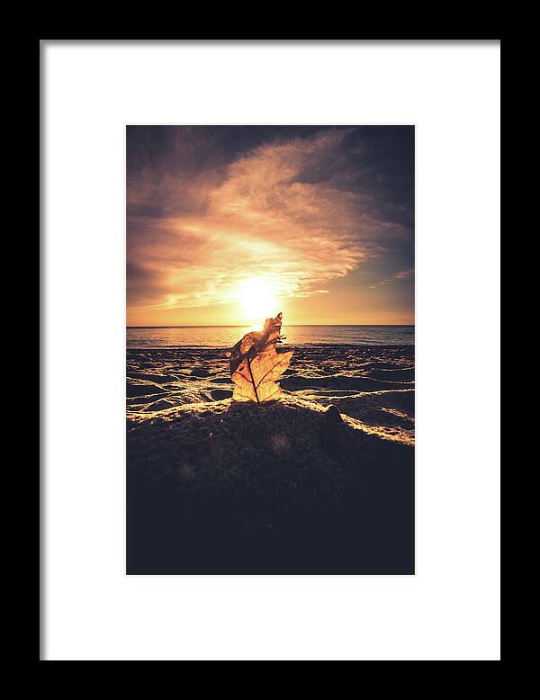 Hamburg Framed Print featuring the photograph Lake Erie Sunset #16 by Dave Niedbala