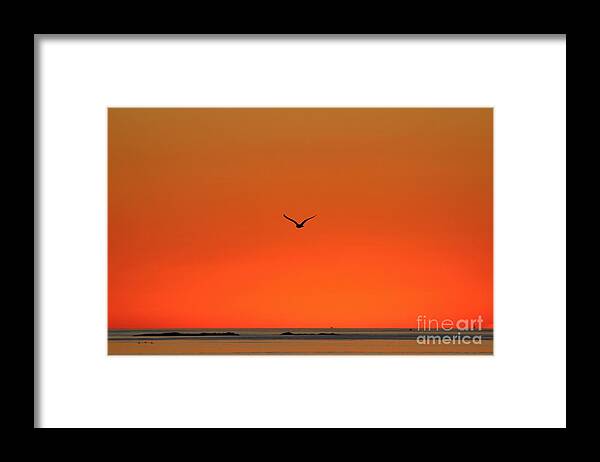Peaches Point Framed Print featuring the photograph Marblehead MA #16 by Donn Ingemie